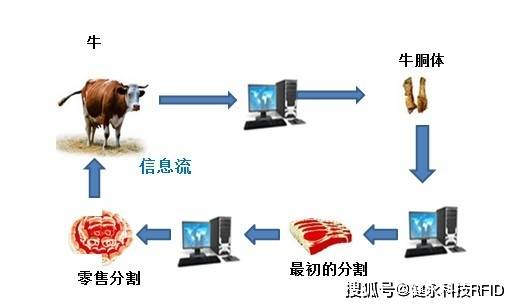 畜牧业中rfid技术的应用